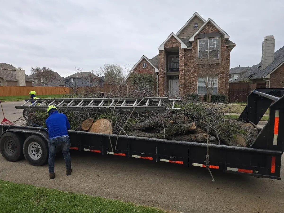 Expert Tree Fertilization with proper safety equipment in Bishopville